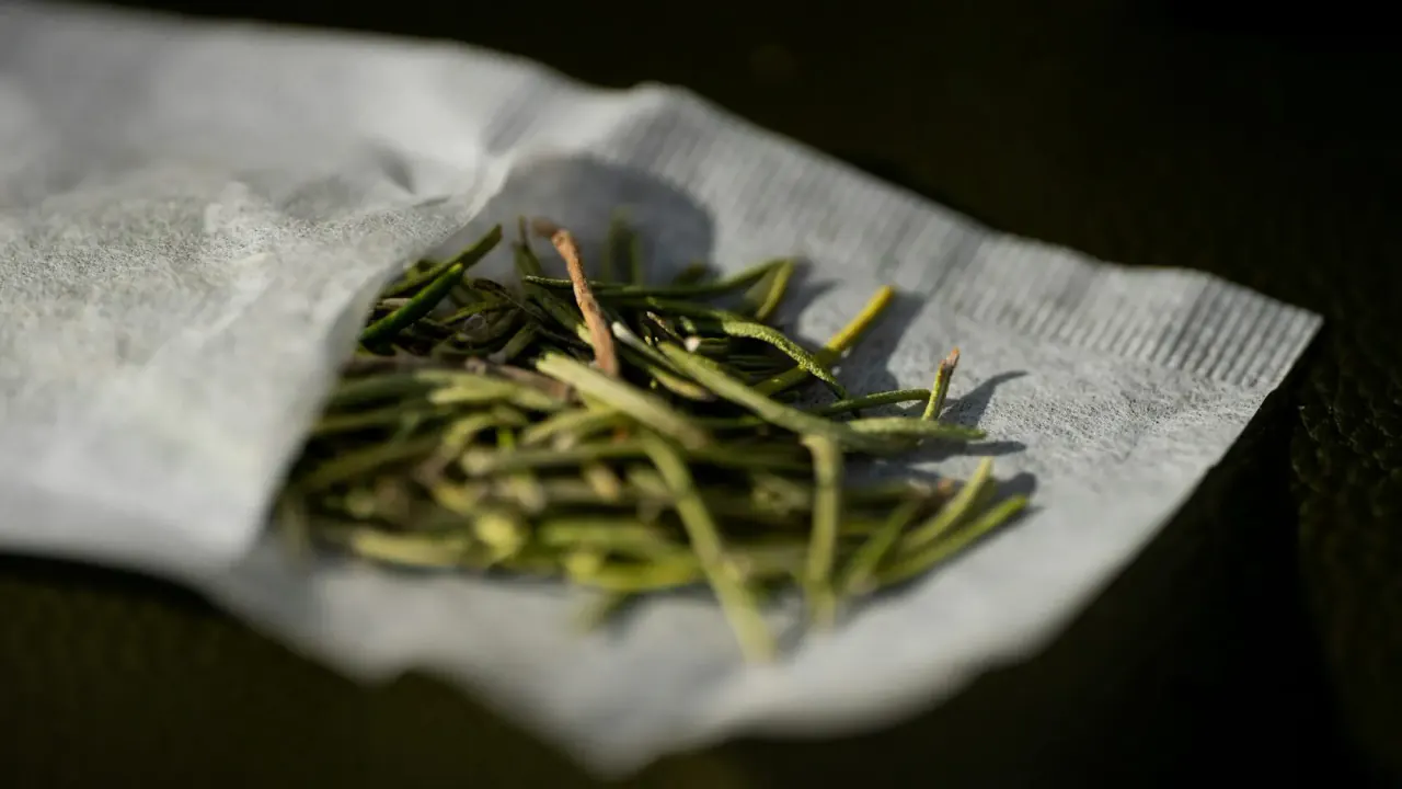 ALPINE MINT